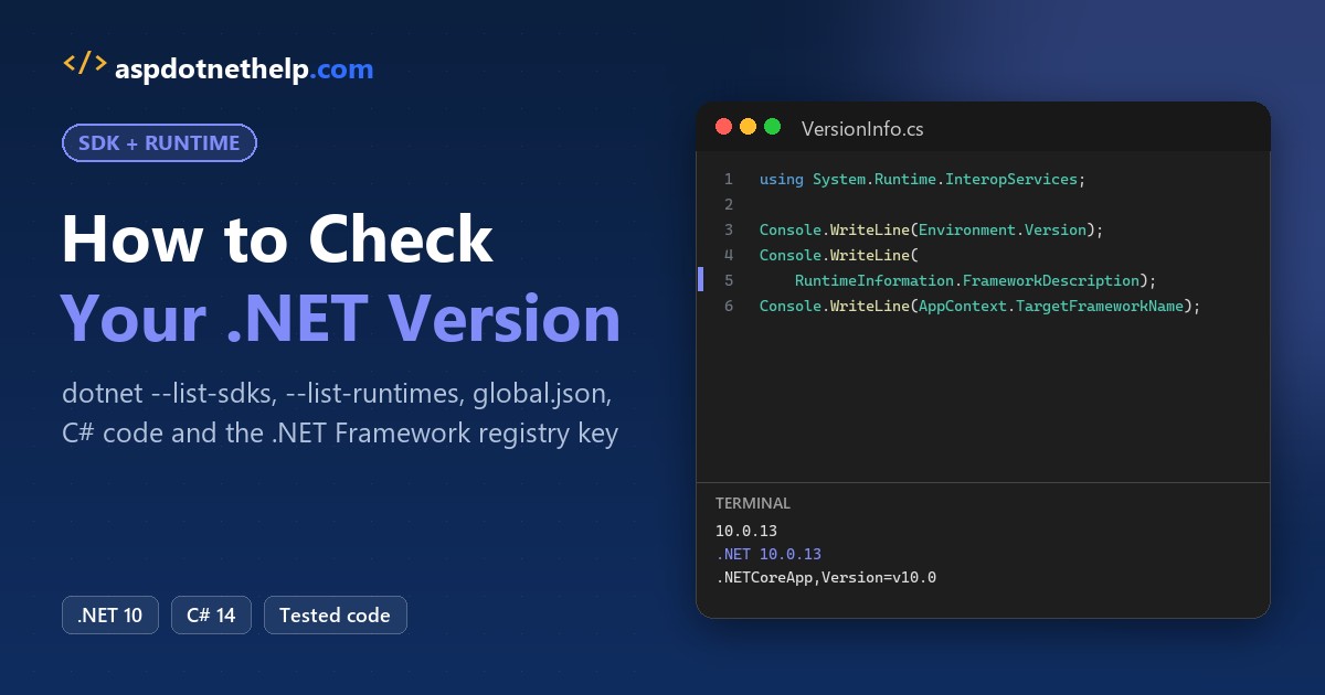 Check .NET version from C#: Environment.Version 10.0.13 and RuntimeInformation.FrameworkDescription .NET 10.0.13 in a real .NET 10 run